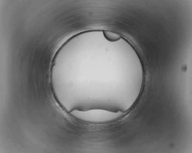 X0000112801236200909111228