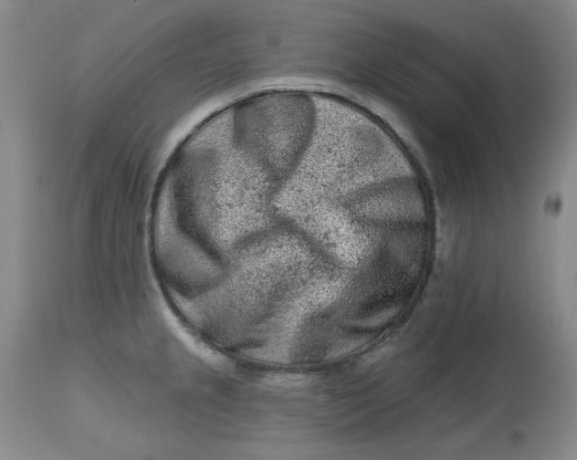 X0000112801237200909111228