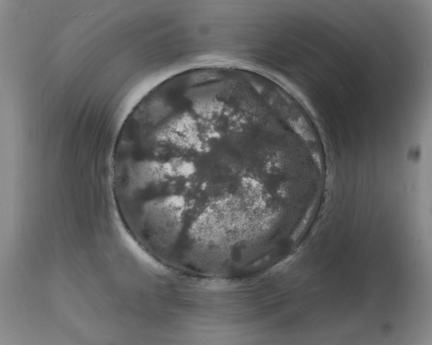 X0000112801239200909111228