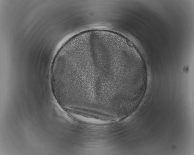 X0000112801240200909111228