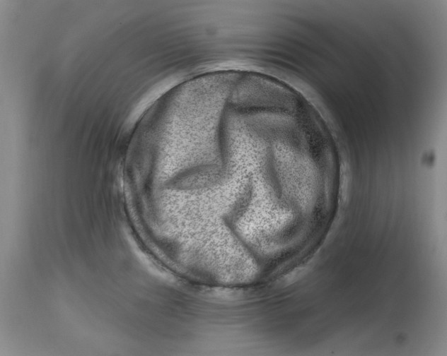 X0000112801241200909111228