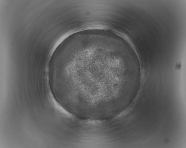 X0000112801243200909111228