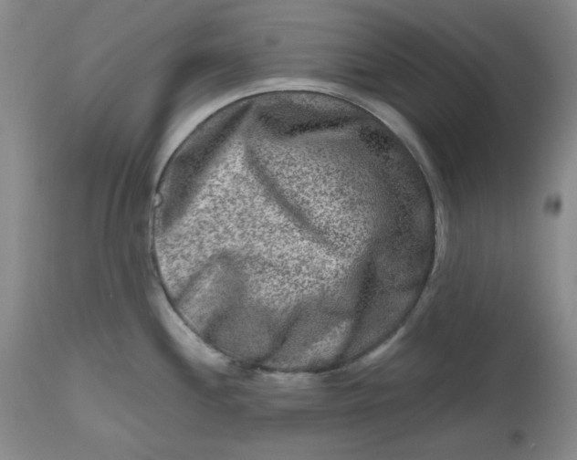 X0000112801244200909111228