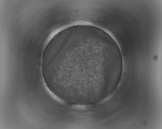 X0000112801245200909111228