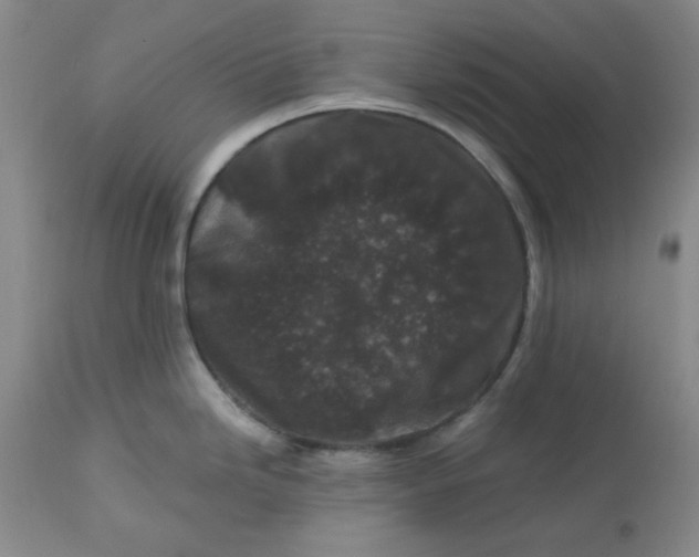 X0000112801246200909111228