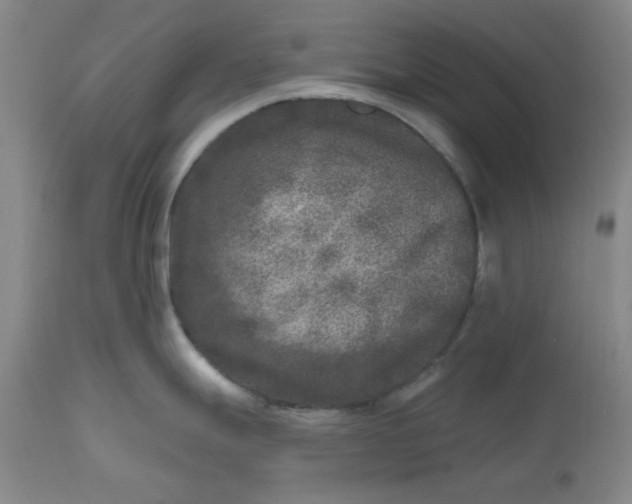 X0000112801247200909111228