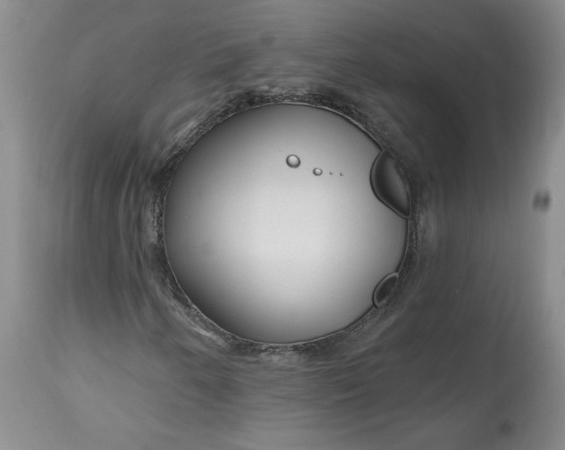 X0000112801250200909111227