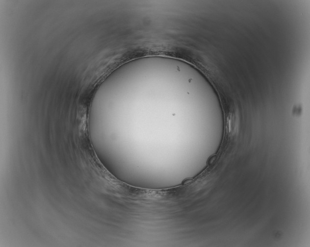 X0000112801251200909111227