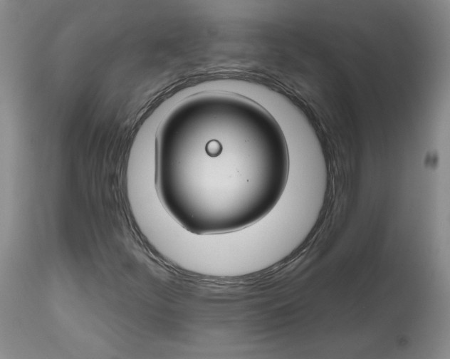 X0000112801252200909111227