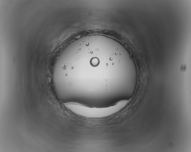 X0000112801253200909111227