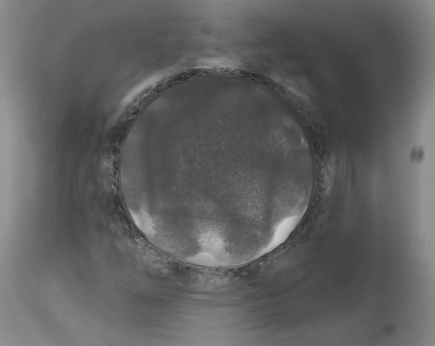 X0000112801254200909111227