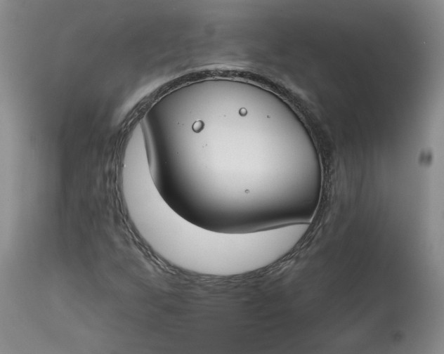 X0000112801255200909111227