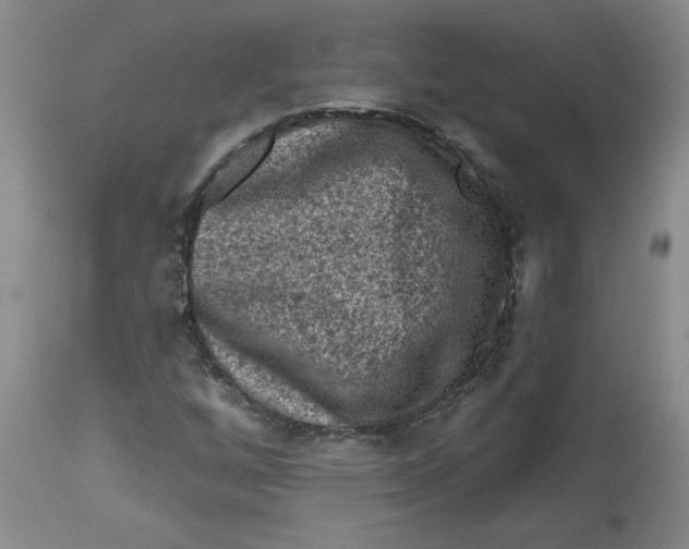 X0000112801256200909111227