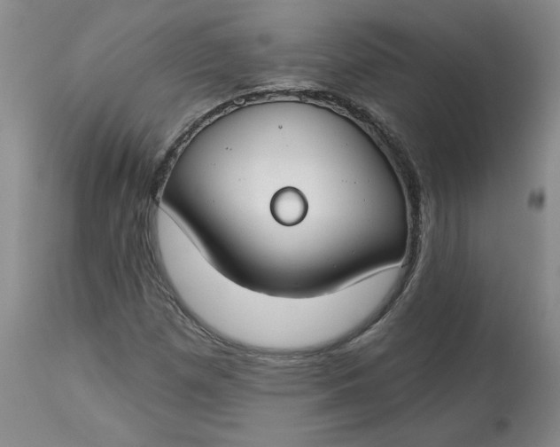 X0000112801257200909111227