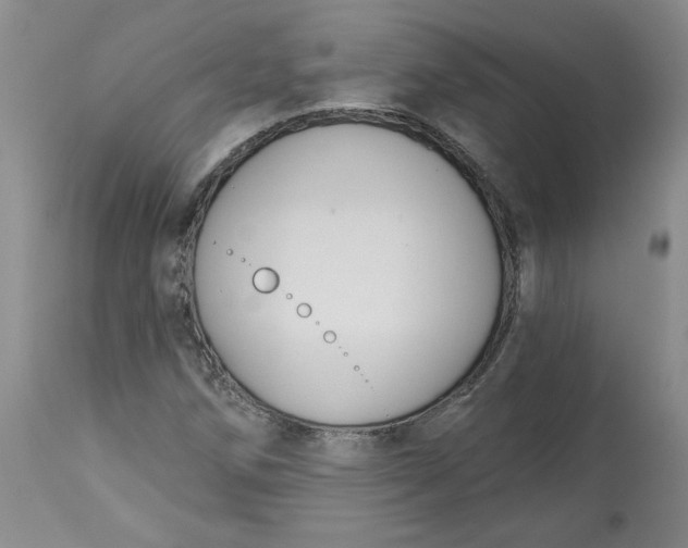 X0000112801258200909111227