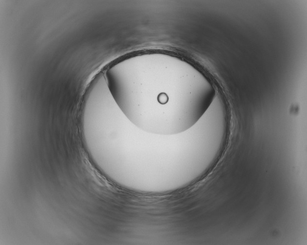 X0000112801260200909111227