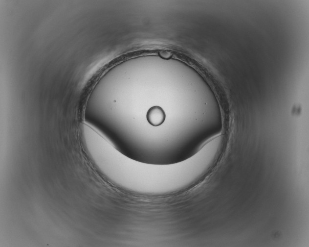 X0000112801261200909111227