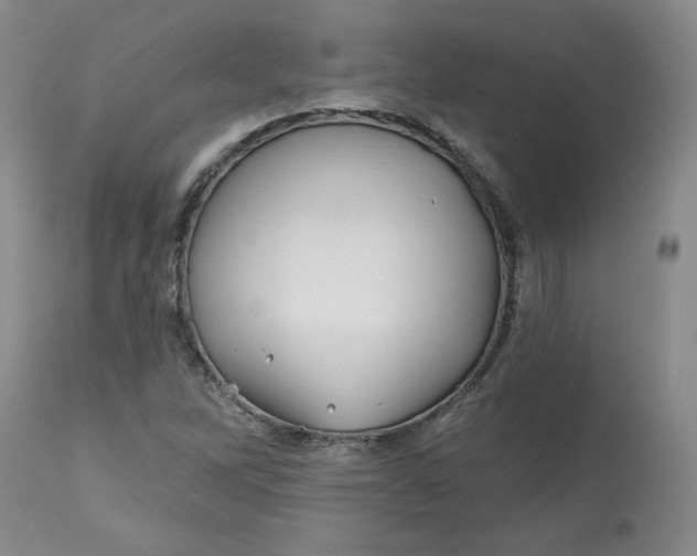 X0000112801262200909111227