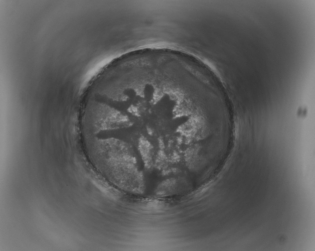 X0000112801263200909111227