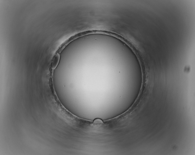 X0000112801264200909111227