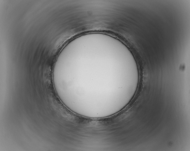 X0000112801265200909111227