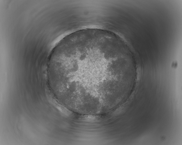 X0000112801266200909111227