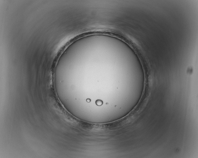 X0000112801267200909111227