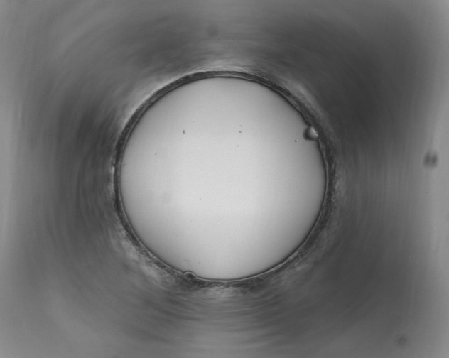 X0000112801268200909111227