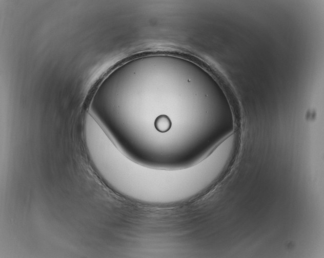 X0000112801269200909111227