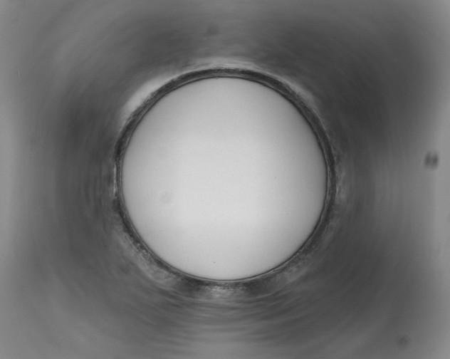 X0000112801271200909111227