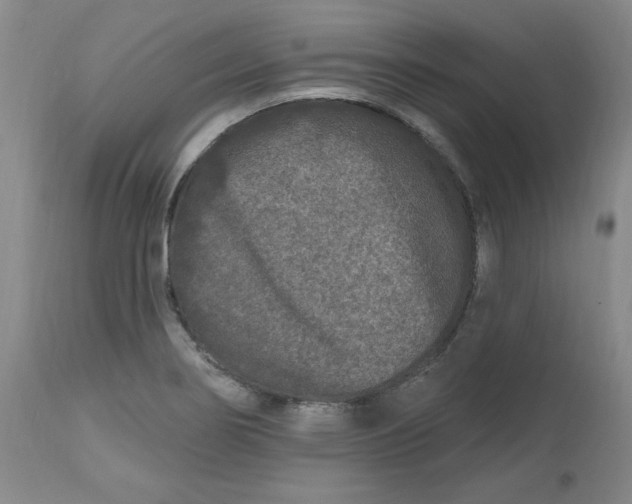 X0000112801274200909111227