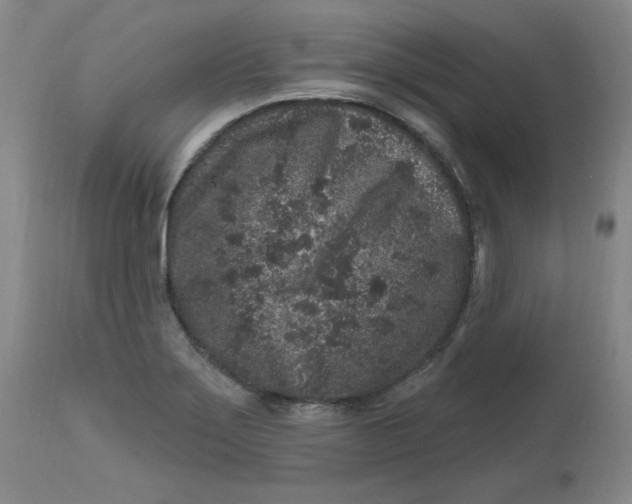 X0000112801275200909111227