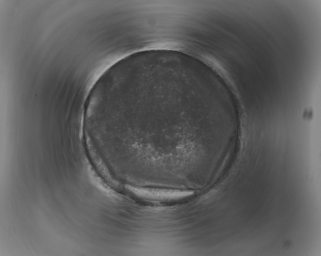 X0000112801276200909111227