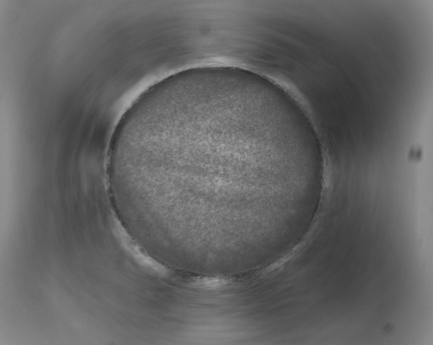 X0000112801278200909111227