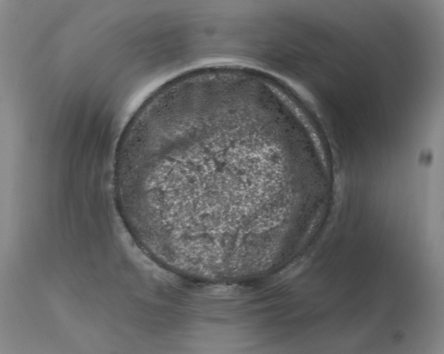 X0000112801279200909111227