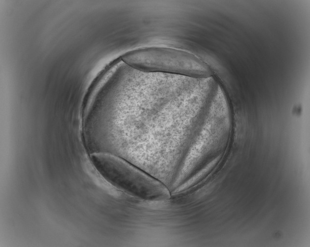 X0000112801280200909111227