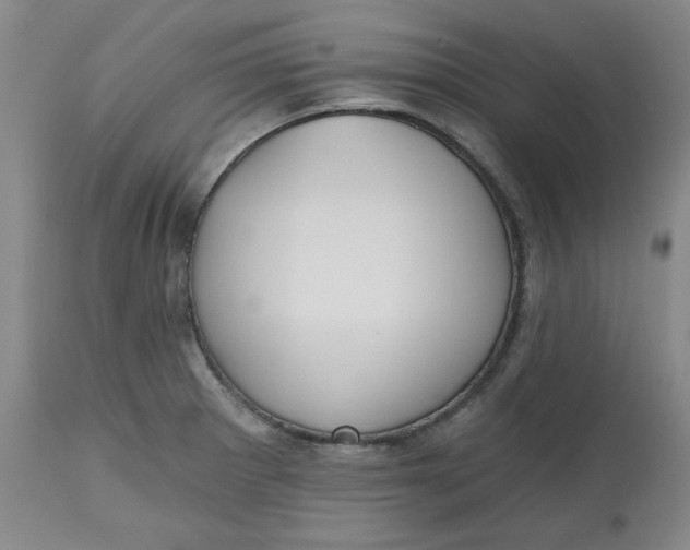 X0000112801281200909111227