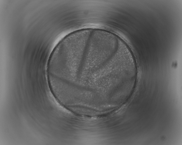 X0000112801283200909111227