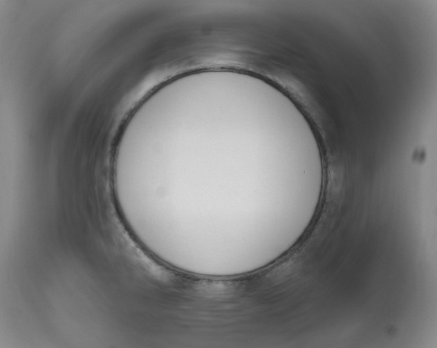 X0000112801286200909111227