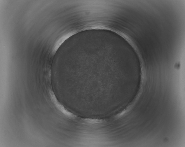 X0000112801289200909111227