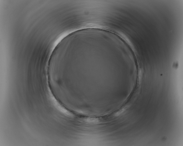 X0000112801291200909111227