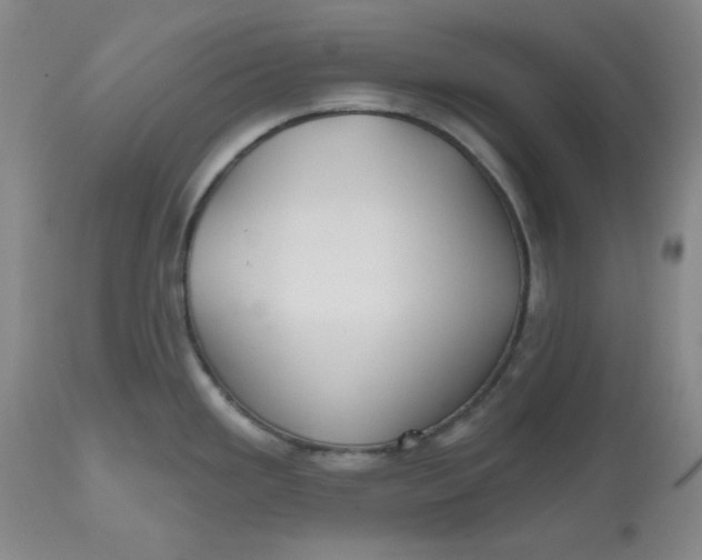 X0000112801293200909111227