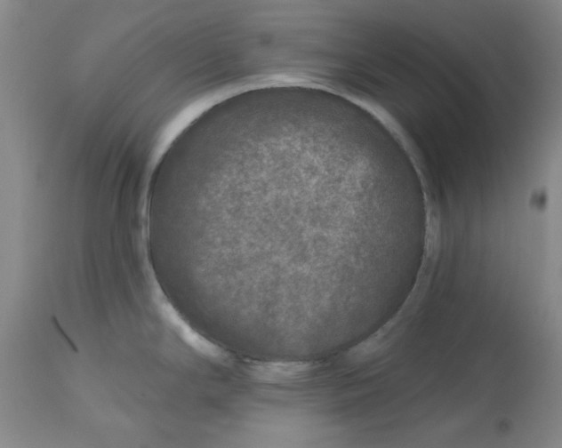 X0000112801294200909111227