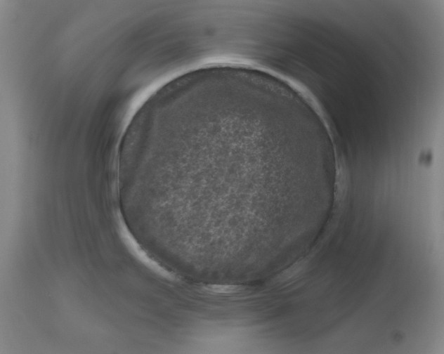 X0000112801295200909111227