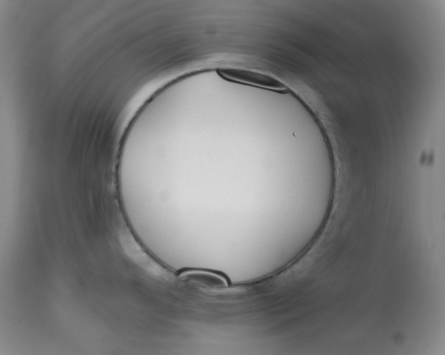 X0000112801296200909111226