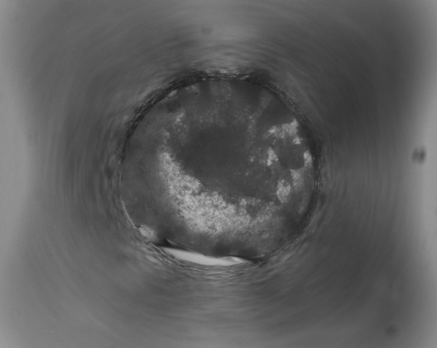 X0000112801297200909111226