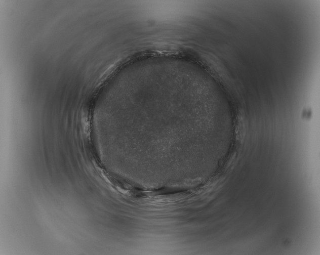 X0000112801298200909111226