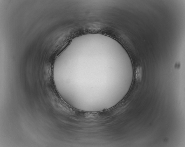 X0000112801299200909111226