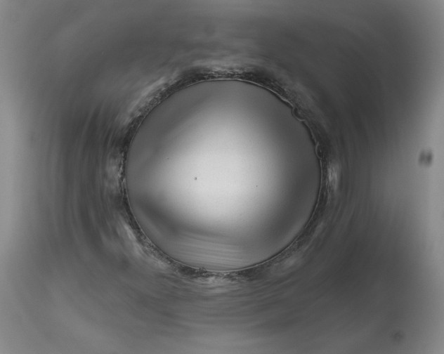 X0000112801300200909111226