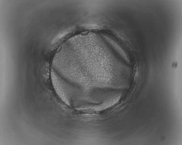 X0000112801301200909111226